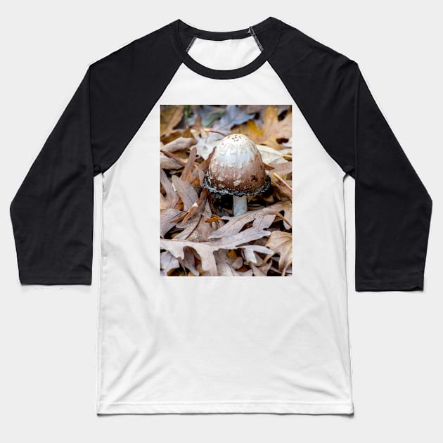 Ink cap mushroom on fall oak leaves Baseball T-Shirt by iyd39